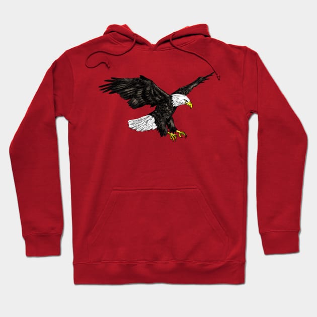 Bald Eagle Print Hoodie by rachelsfinelines